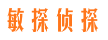 轮台调查公司